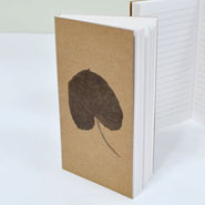 ¶±Á¦º»_¼Ò³à¹æ¾Ñ°£