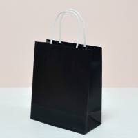 ÀÚµ¿¼îÇιé_ºí·¢ (210x100x255mm)