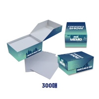 ±¤°í ¸Þ¸ðÁö¹Ú½º 300¸Å