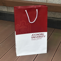 Á¾À̼îÇιé_ÁߺδëÇб³ (280x100x400mm) | ¼¼·ÎÇü ¼îÇιé Á¦ÀÛ